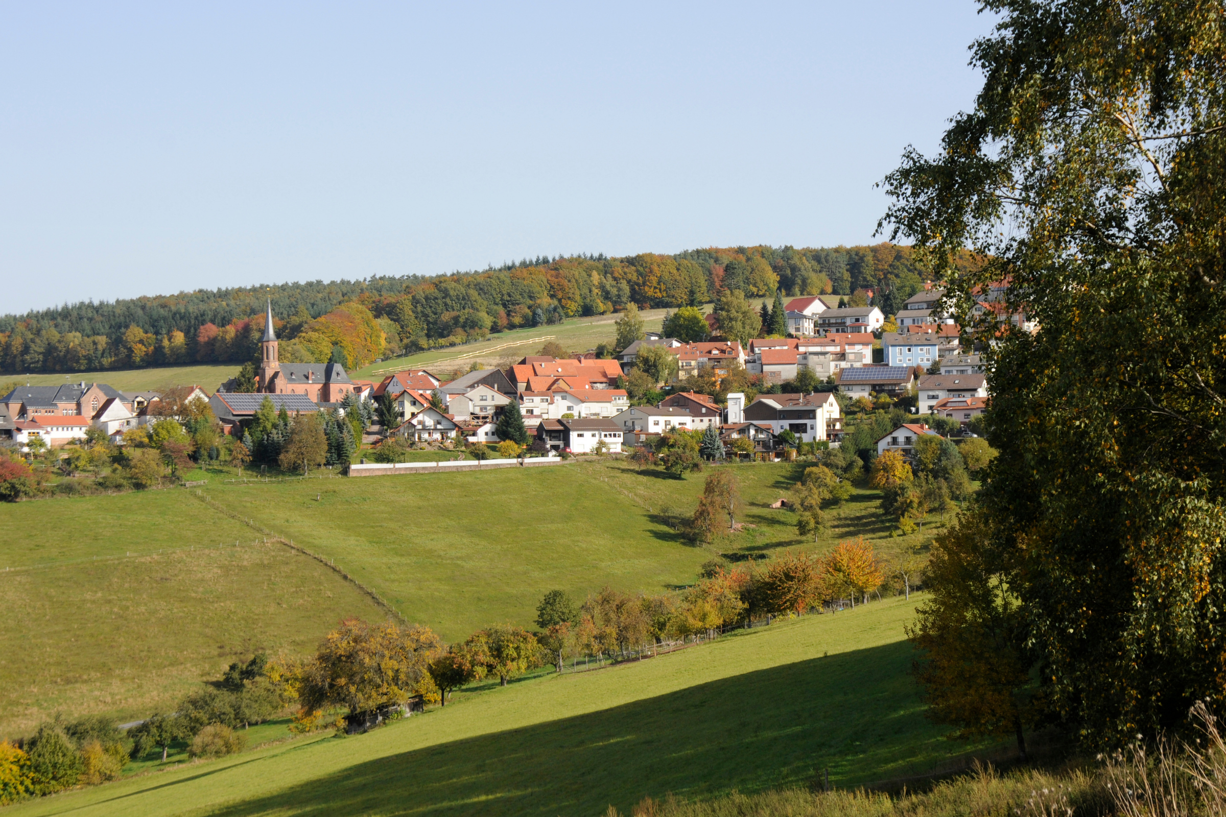 39 rothenberg.webp